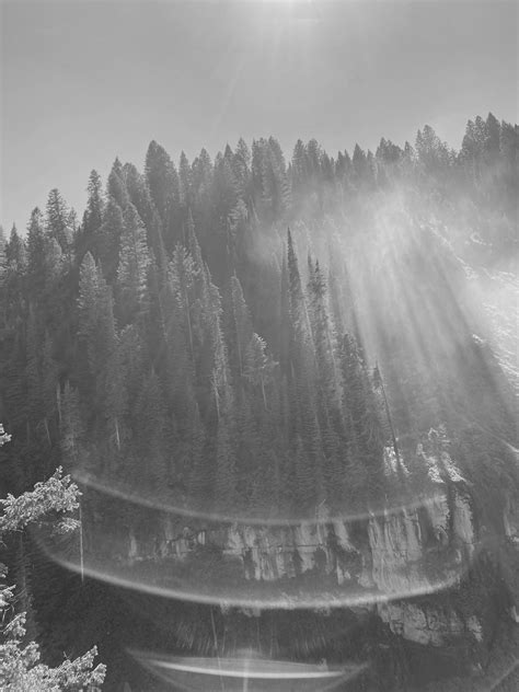 Black Monarch Boudoir Idaho - No previous experience necessary, styling