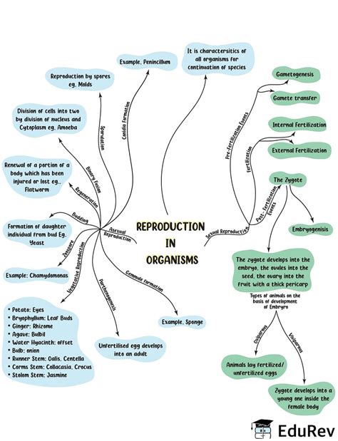 Mindmap Reproduction In Organisms Old NCERT Biology Class 12