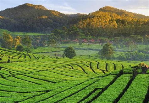 Daftar Kabupaten Dan Kota Di Jawa Barat Yang Ternyata Tidak Punya