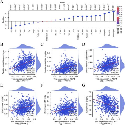 AQP1 As A Novel Biomarker To Predict Prognosis And Tumor Immunity In