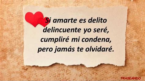 12 Frases De Amor Para Enamorar Amarte Es Un Delito Frasesdemaorpara