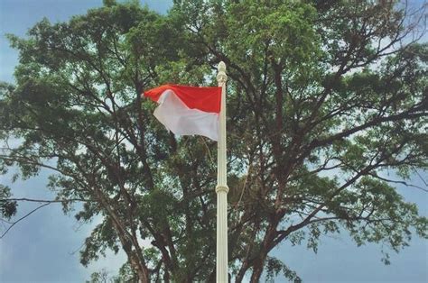 Persatuan Dan Kesatuan Bangsa Pada Masa Republik Indonesia Serikat Adjar