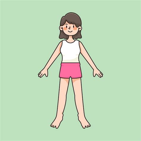 Partes Del Cuerpo Entero Ilustraci N De Dibujos Animados Lindo Vector