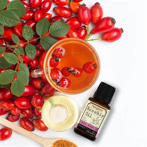 rosehip oil  essential   everyday skincare routine rosehip