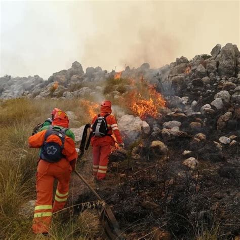 Incendio A Petralia Soprana La Zona Della Madonnuzza E Contrada Salice