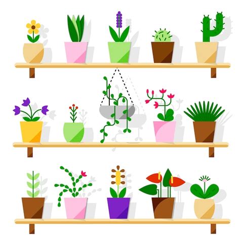 Premium Vector Indoor Potted Plants Isolated On White