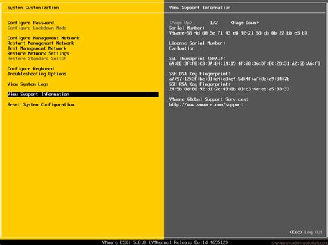 Configuring Vmware Esxi