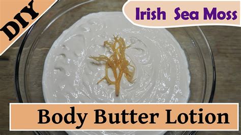 Lotion And Body Butter Making Tips With Irish Sea Moss เนื้อหาทั้งหมด