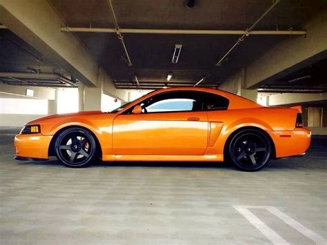 Ford Mustang Cobra New Edge Mustang Roush Mustang Ford Mustang Cobra