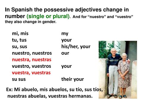 Los Pronombres Posesivos The Possessives Pronouns And Adjectives Ppt Descargar