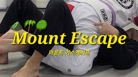 마운트 이스케이프 Mount Escape 기술도움 강진구 마우트이스케이프 Mountescape Youtube