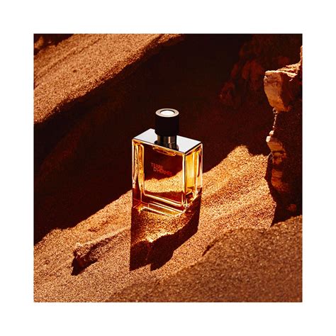 Hermes Terre Dhermes Perfume For Men Uk