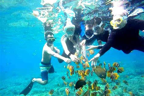 Nusa Penida West Tour With Snorkeling All Inclusive Bali Adventur