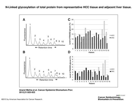 N Linked Glycosylation Of Total Protein From Representative Hcc Tissue