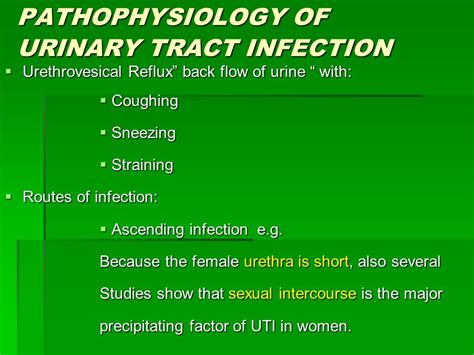 Urinary Tract Infection Pathophysiology