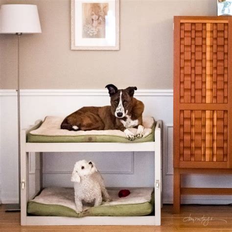 Diy Dog Bunk Beds Lana Von Haught Dog Bunk Beds Diy Dog Bed Diy