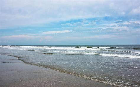 Myrtle Beach State Park South Carolina Photograph By Brendan Reals Fine Art America