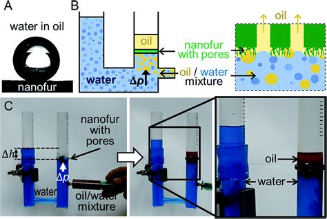 Selective Filtration Of Oil Water Mixtures With Bioinspired Porous