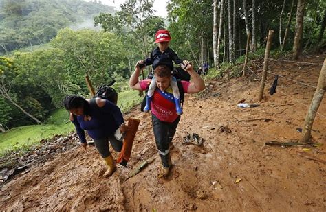 El Darién Venezolanos Son 64 De Migrantes Que Cruzan La Selva En 2024