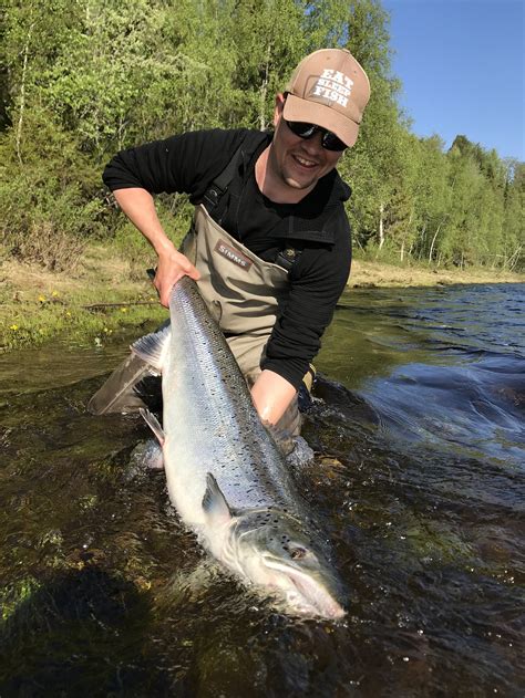 The Year Of The Salmon — Kengis Bruk Baltic Salmon Fishing In Torne