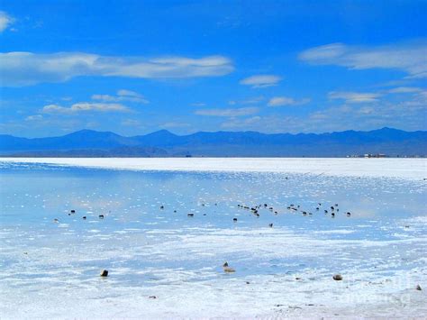 Bonneville Salt Flats After The Rain Photograph by Matthew Peek | Fine ...