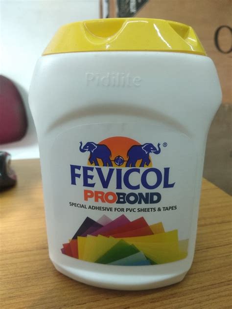 Fevicol Probond Wood Adhesive 1kg Plastic Can At Rs 360kg In Nagpur