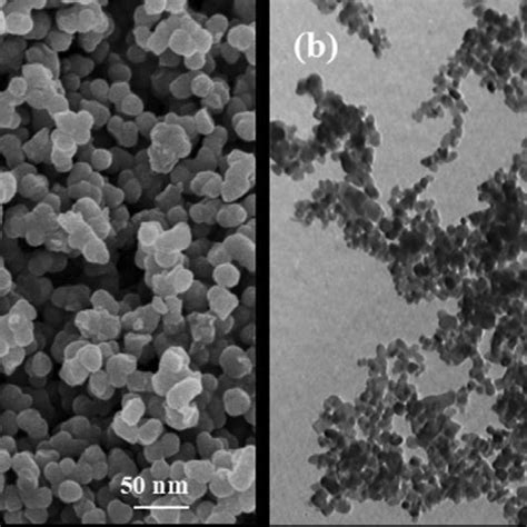 A SEM Image And B TEM Image Of Synthesized TiO 2 B Anatase