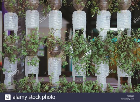 Planta Que Crecen Verticalmente En Botellas De Pl Stico Recicladas