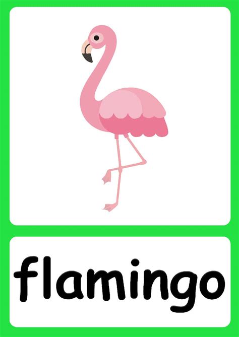 Jungle Animal flashcards + FREE Jungle background