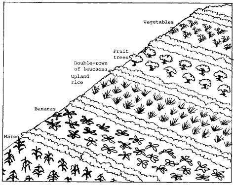 Soil Drawing at GetDrawings | Free download