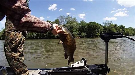 Fishing On Shenandoah River Unoisy Fishing