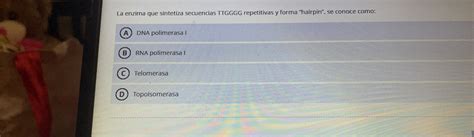 Solved La Enzima Que Sintetiza Secuencias TTGGGG Repetitivas Chegg