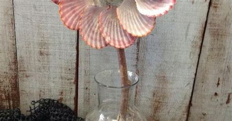 20 Cool Seashell Project Ideas Seashell Projects Seashells And