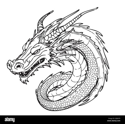 Face of a fantasy dragon sketch illustration Myths and legends Stock Vector Image & Art - Alamy