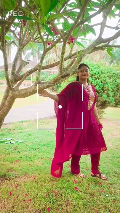 Nadaniyan ️ Shorts Subscribe Viralshorts Ytshorts Viral Shortsfeed Nadiyasarkar20 Like ️