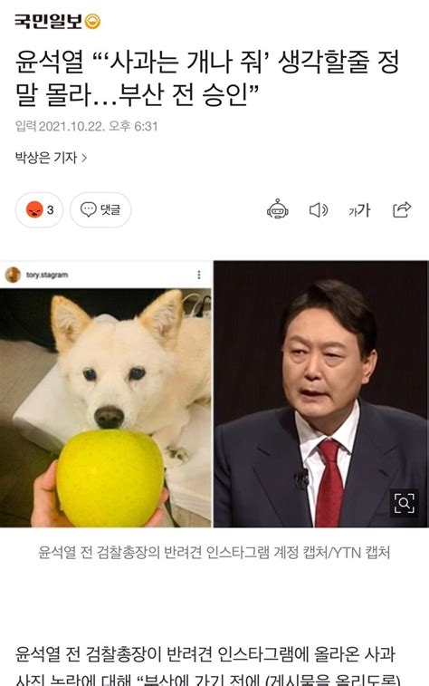 윤석열 “‘사과는 개나 줘 생각할줄 정말 몰라부산 전 승인” 정치시사 에펨코리아