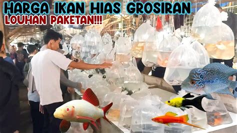 UPDATE HARGA LOUHAN PAKETAN HARGA GROSIR AN PASAR IKAN HIAS