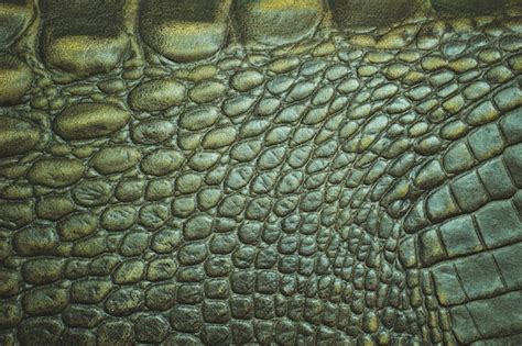 Textura Do Close Up Da Pele Do Couro Do Crocodilo Foto Premium