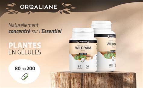 Wild Yam Riche En Diosgenine Gelules Compl Ment Alimentaire