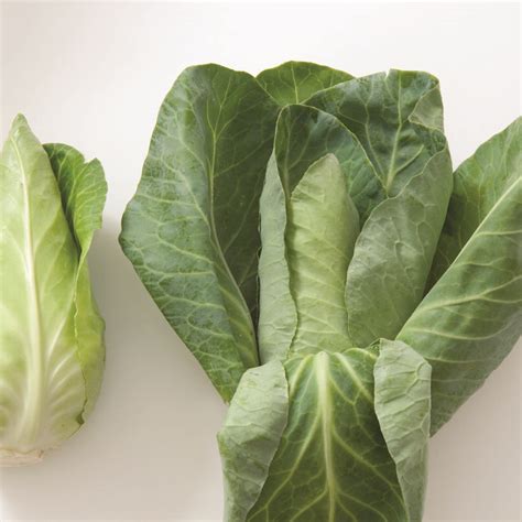 Caraflex F1 Cabbage Seed Johnnys Selected Seeds