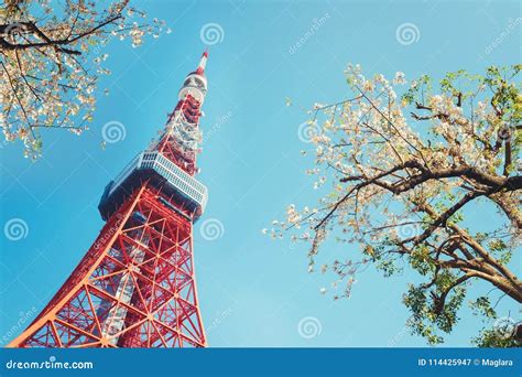 Tokyo Tower with Cherry Blossom Trees Stock Image - Image of blossom ...