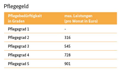 Pflegegeld