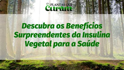 Descubra Os Benef Cios Surpreendentes Da Insulina Vegetal Para A Sa De