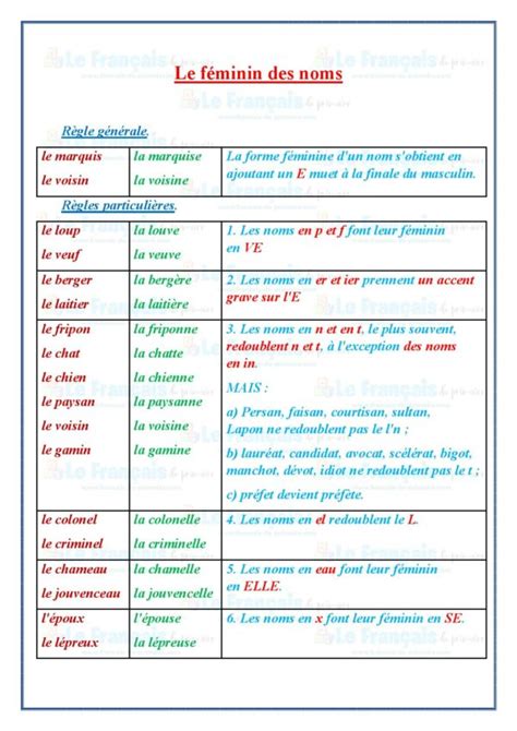 Le F Minin Des Noms Cours Exercices Le Fran Ais Du Primaire