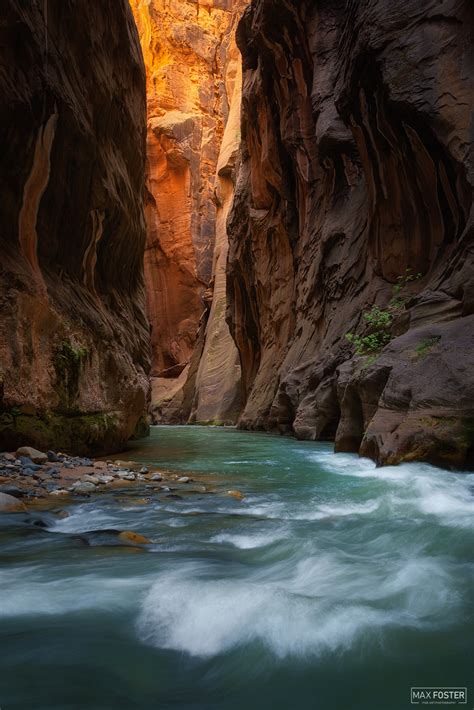 Wall Street | The Narrows | Zion National Park | Max Foster Photography