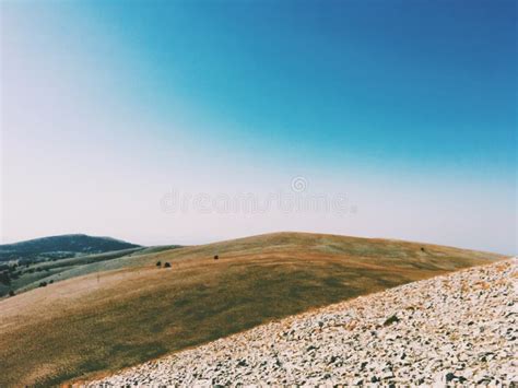 Landscape of Trees on a Brown Hilly Terrain Stock Image - Image of ...