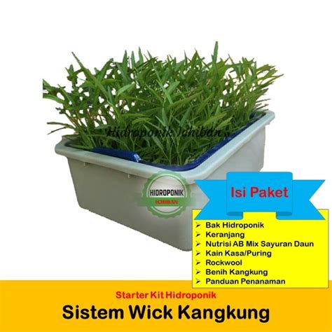 Jual Starter Kit Hidroponik Sistem Wick Keranjang Kangkung Full Set