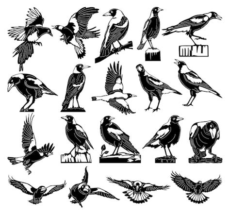 Australian Magpies Birds Dxf Files And SVG Cut Ready For Cnc Etsy