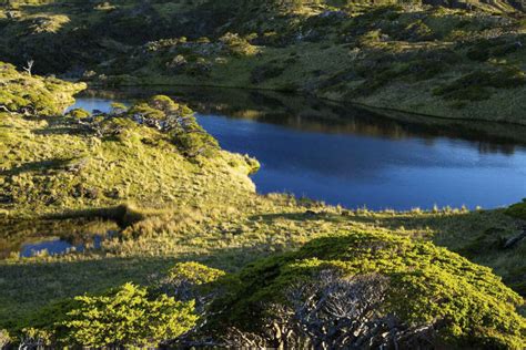 Ponen A La Venta Rara Isla Chilena Virgen 7 Veces Más Grande Que