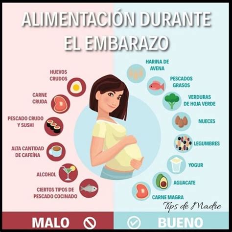 La Alimentación Durante El Embarazo Es La Principal Fuente De Nutrición Del Bebé Por Lo